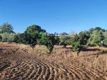 Terreno rustico in vendita a Pedanías de Badajoz