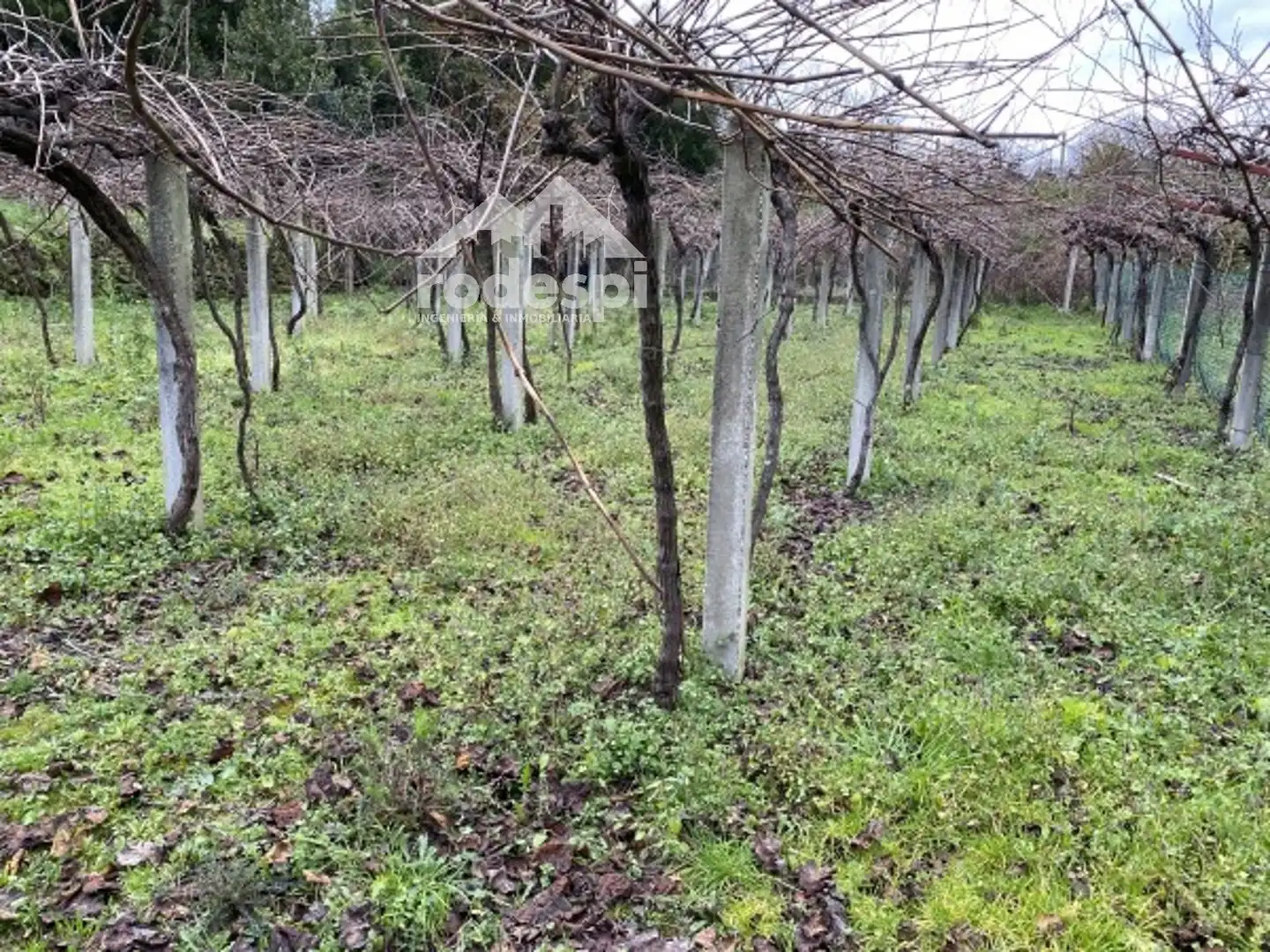 Terreny rústic en venda a A Cañiza, imagen 9