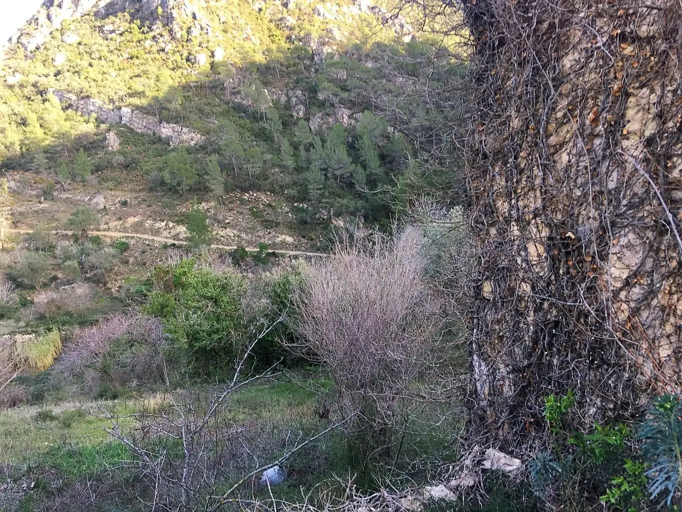 Country house for sale in Benifallet, imagen 5