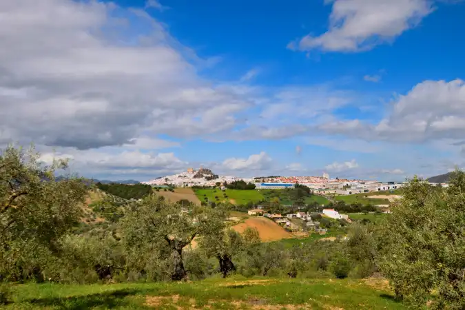 Casa a schiera con terrazza in vendita a Calle Cruz, imagen 30