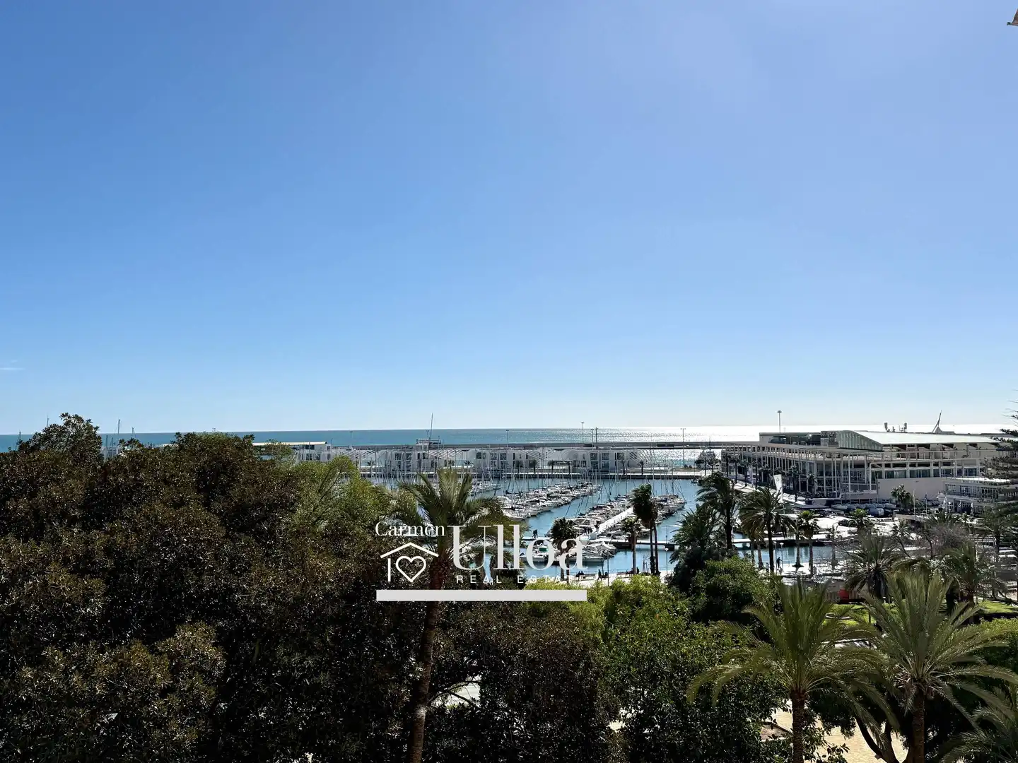 Vista exterior de Apartament en venda en Alicante / Alacant amb Aire condicionat, Calefacció i Jardí privat