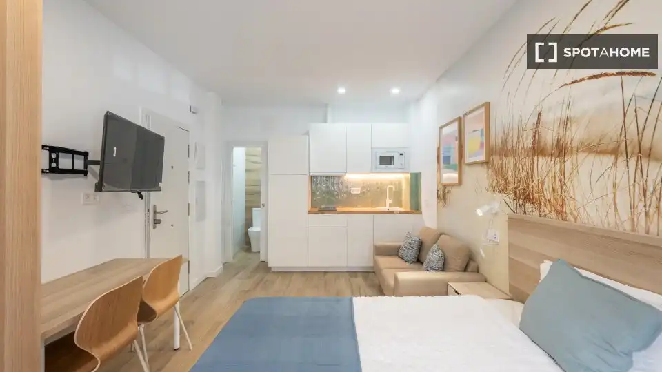 Bedroom of Study for share in Madrid  with Air Conditioner, Terrace and Furnished