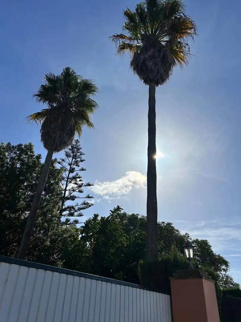 Villa avec piscine à vendre à Pelagatos - Pago del Humo, imagen 57