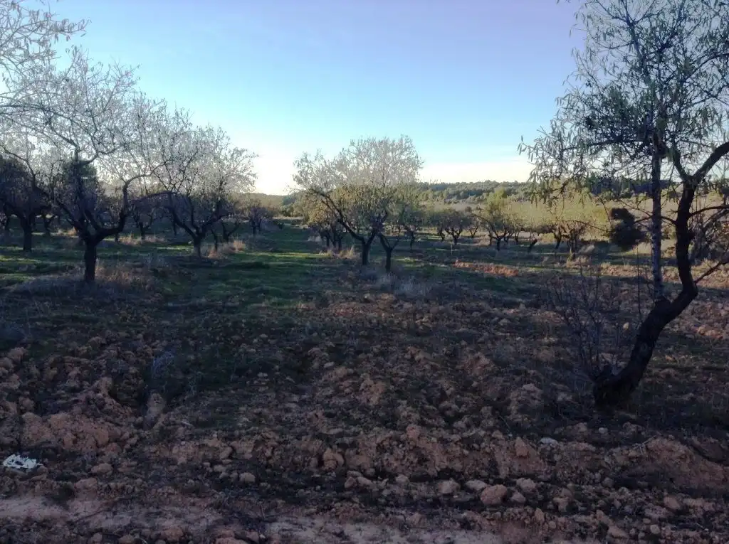 Terreni e lotti in vendita a Valderrobres, imagen 2