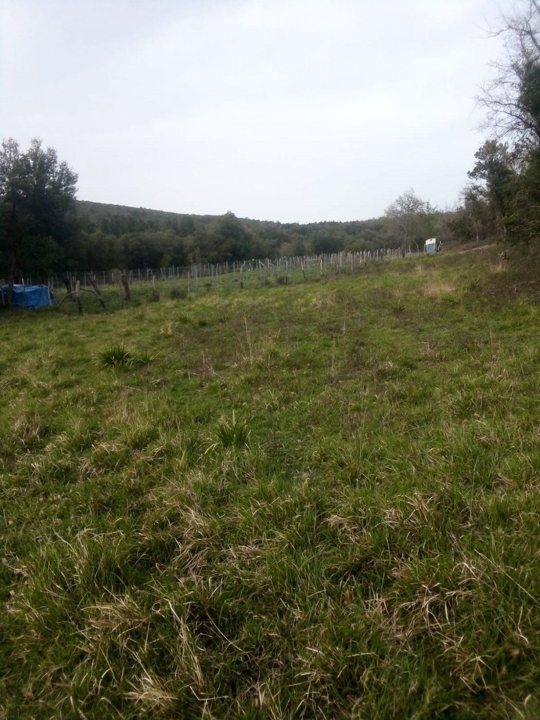 Finca rústica en venda en Valle de Mena