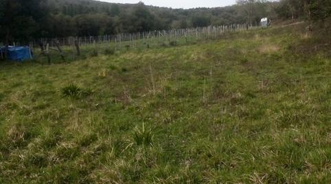 Foto 3 de Finca rústica en venda a Valle de Mena, Burgos