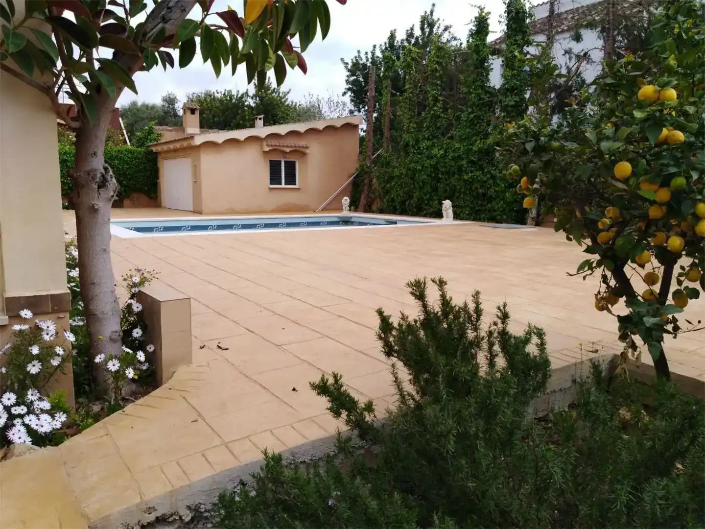 Swimming pool of Flat for rent in Bunyola  with Air Conditioner, Private garden and Swimming Pool