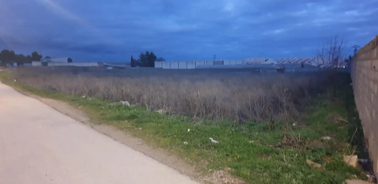 Terreni e lotti in vendita a Santa María, imagen 4