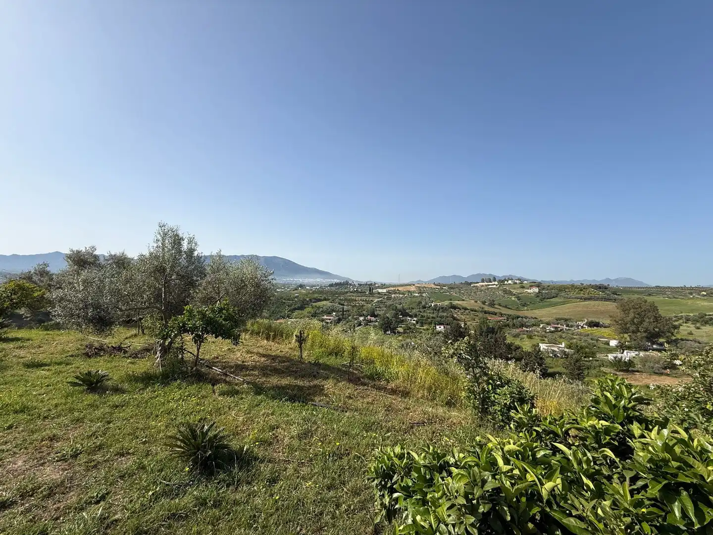 Casa rústica amb piscina en venda a Casalpalma - Fahala, imagen 43