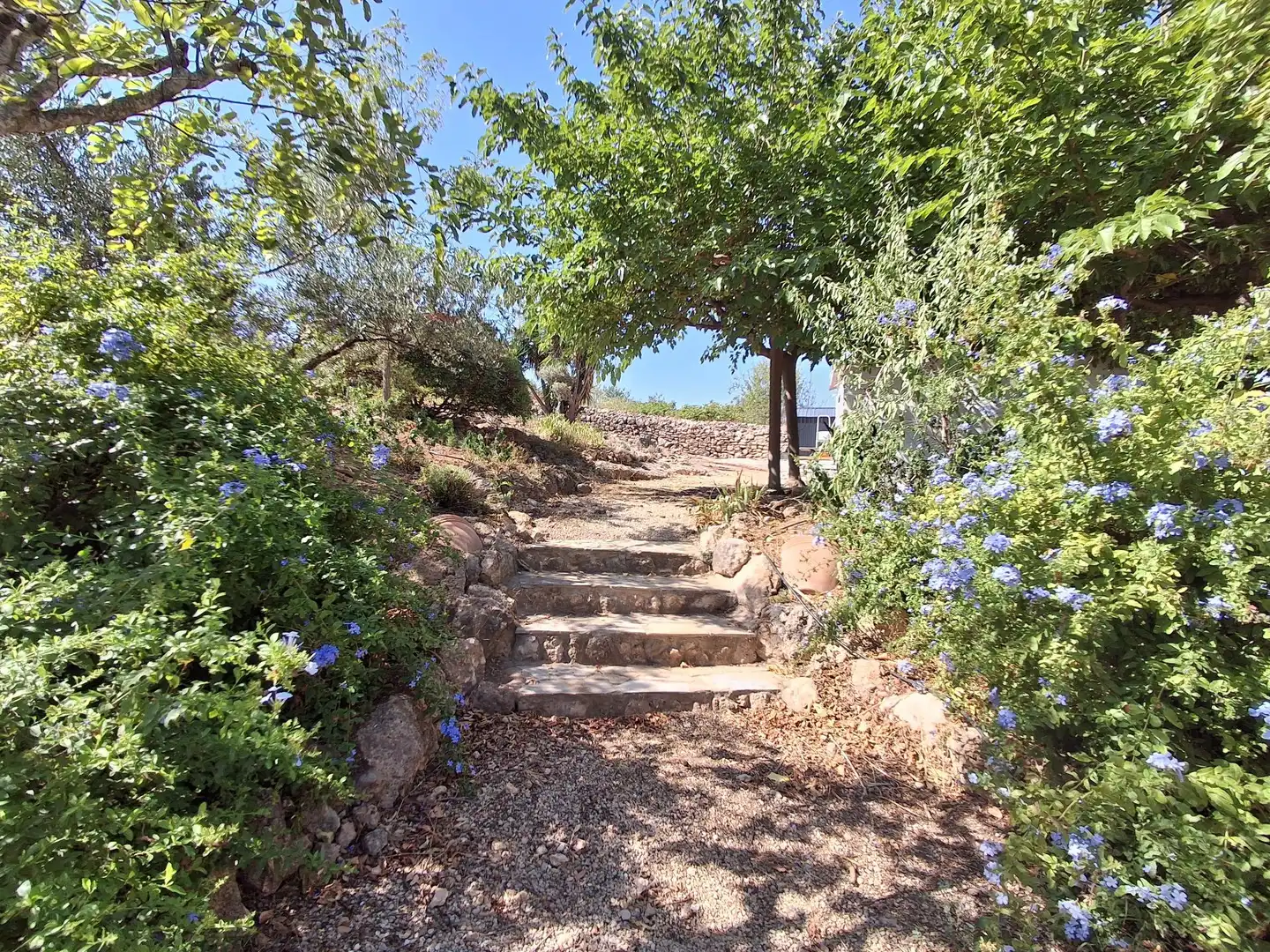 Garden of Houses for sale in Xerta