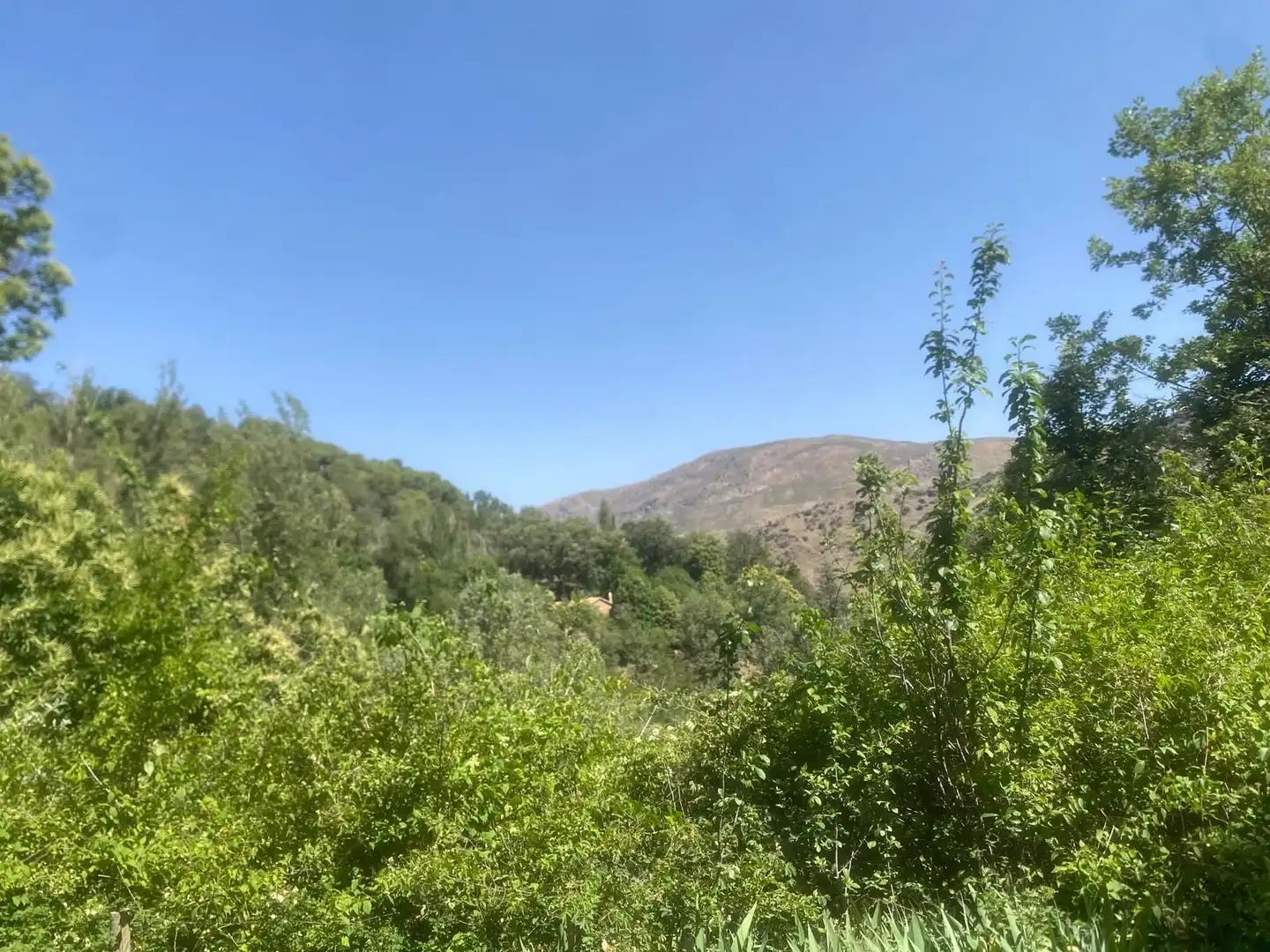 Casa amb jardí en venda a Güéjar Sierra, imagen 29