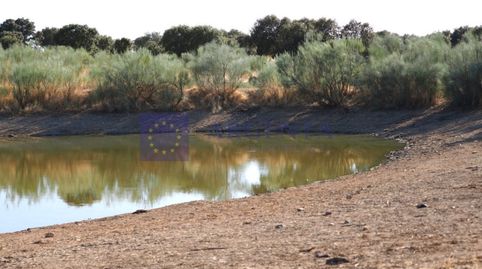 Photo 3 of Houses for sale in Mejostilla, Cáceres Capital