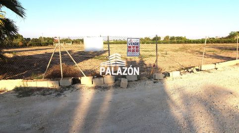 Almacén en venta en Catral Alicante, imatge 3