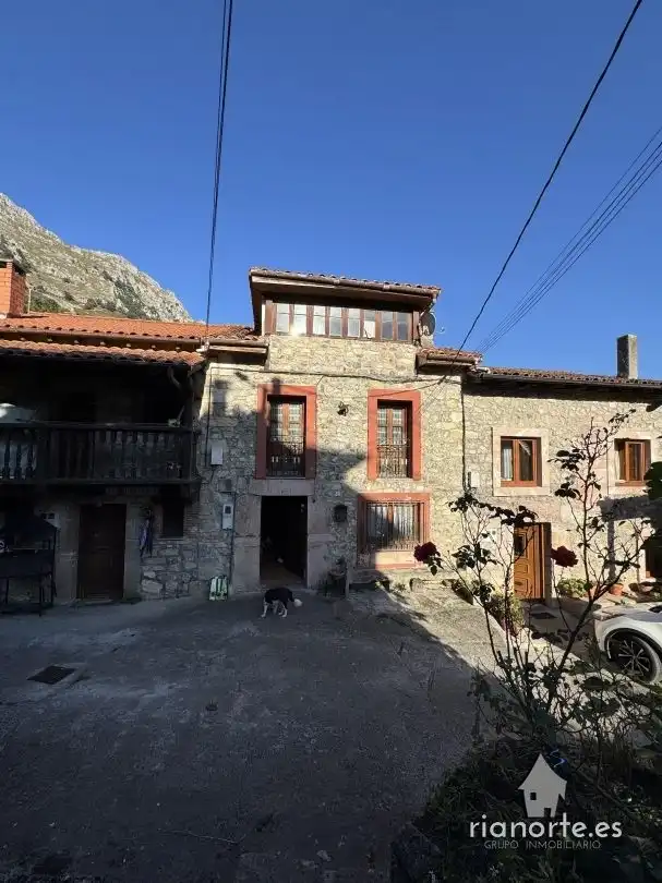 Exterior view of Houses for sale in Peñamellera Alta  with Heating