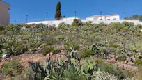 Jardí de Residencial en venda en San Miguel de Abona