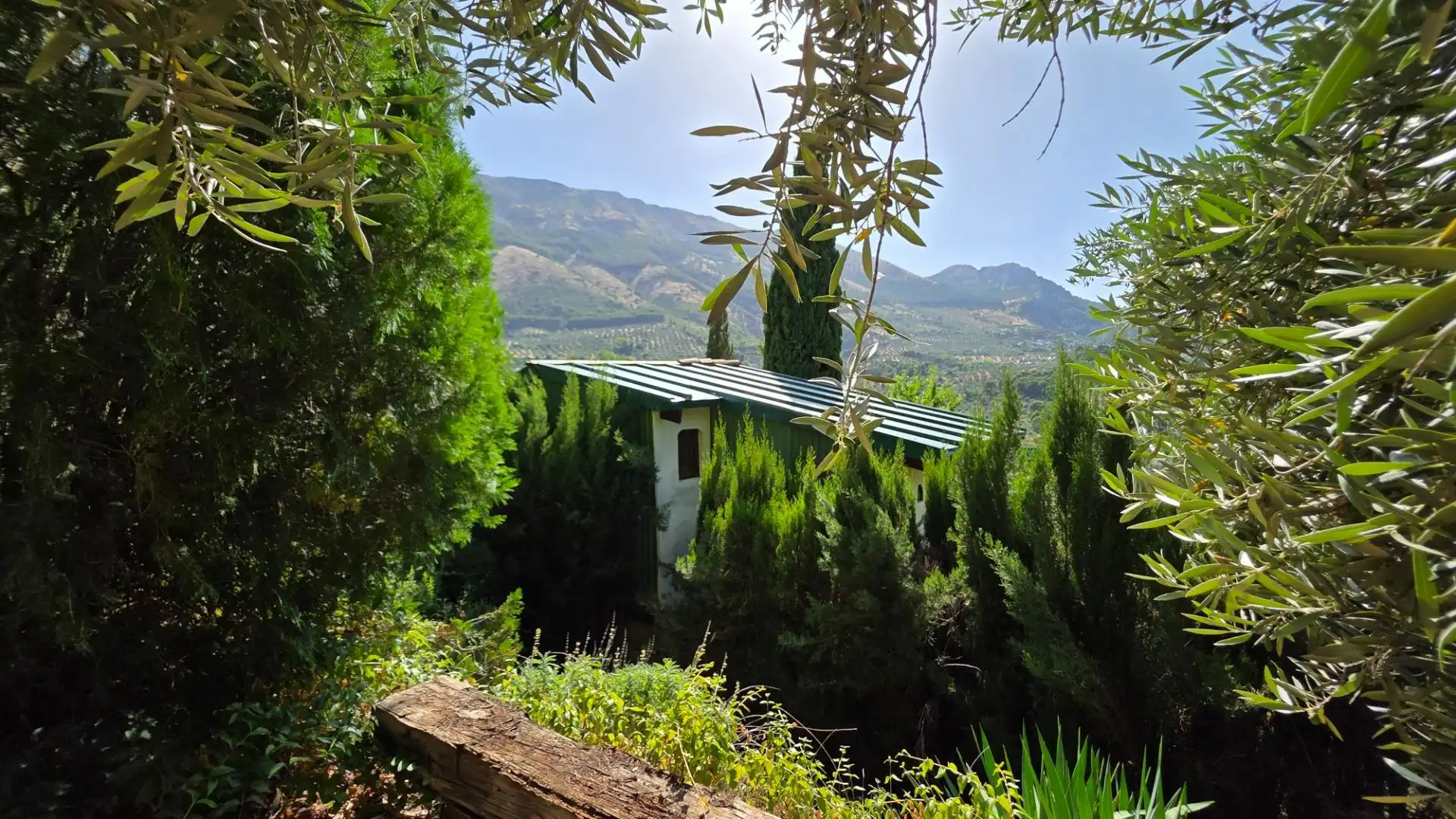 Jardí de Finca rústica en venda en Jaén amb Calefacció, Jardí privat i Terrassa
