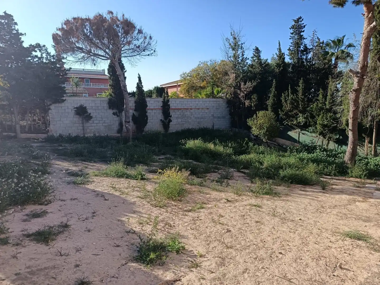 Chalet con jardín en venta en Los Balcones - Los Altos, imagen 18
