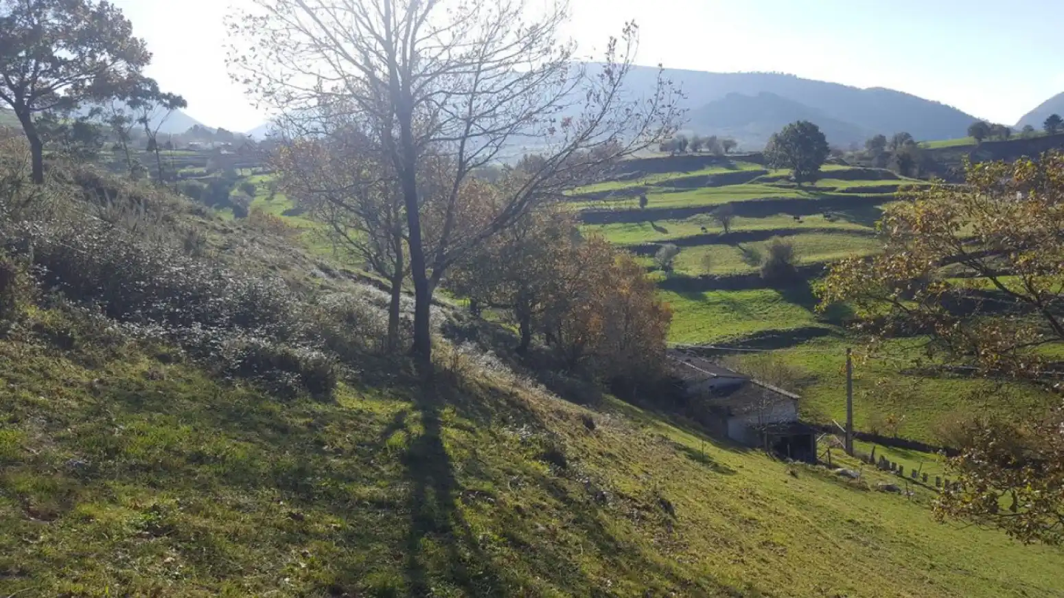 Grundstücke zum Verkauf in Molledo