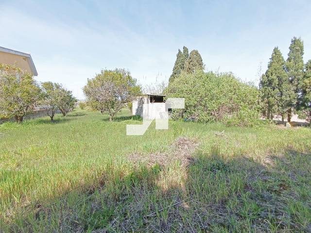 Terreno en Venta en Norte en Nules