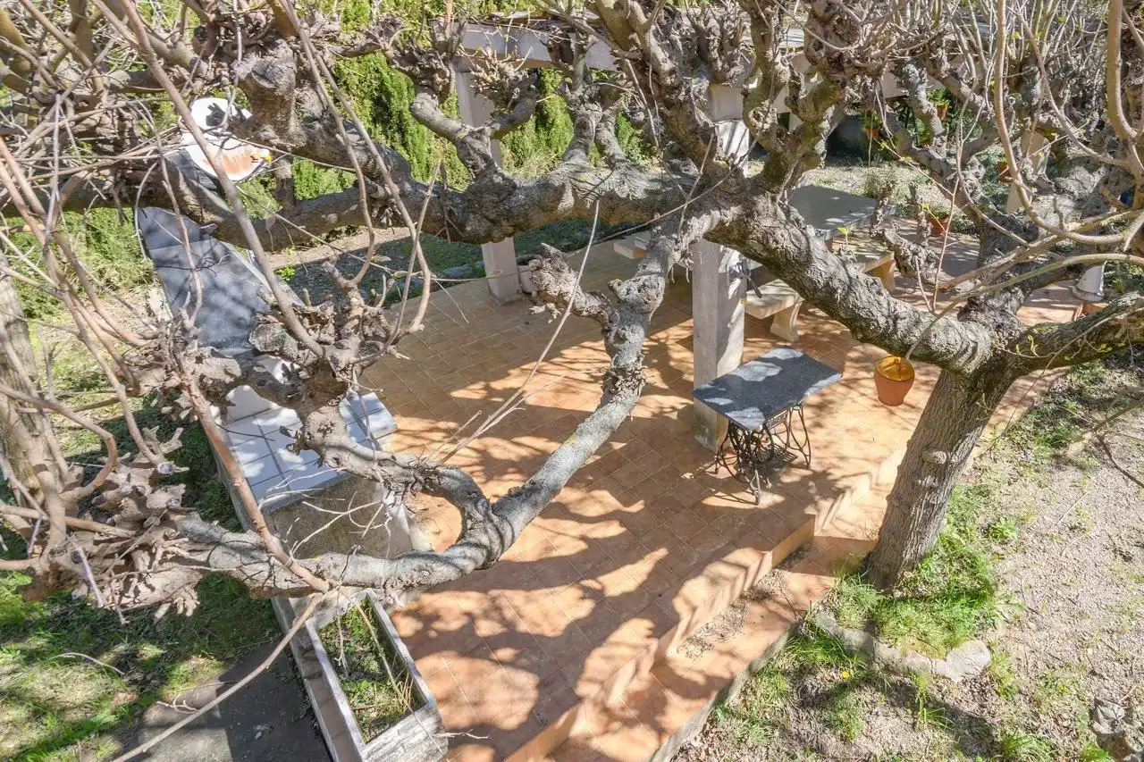 Chalet con piscina en venta en Avenida VINYA NOVA, imagen 8