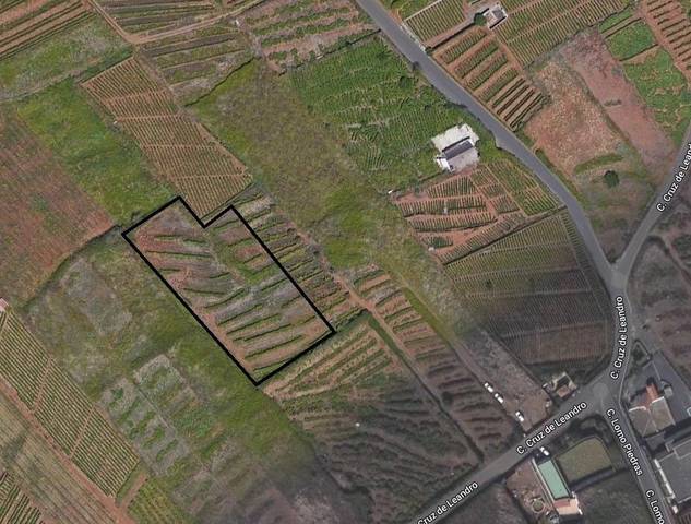 Terreno en Venta en CRUZ DE LEANDRO en El Sauzal