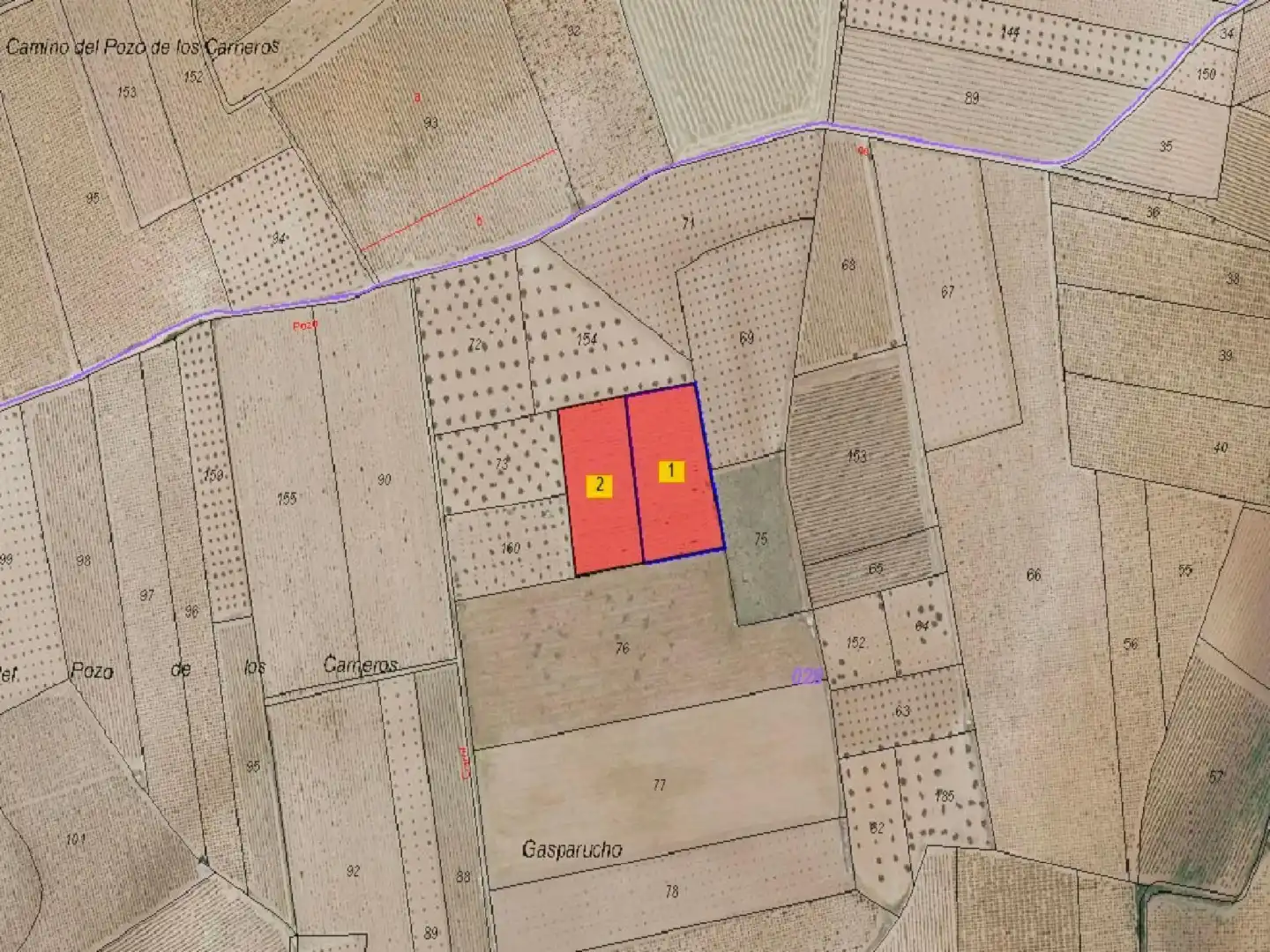 Land for sale in Membrilla