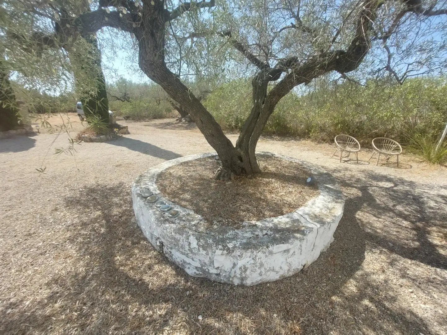 Casa amb jardí en venda a L'Ametlla de Mar pueblo, imagen 16