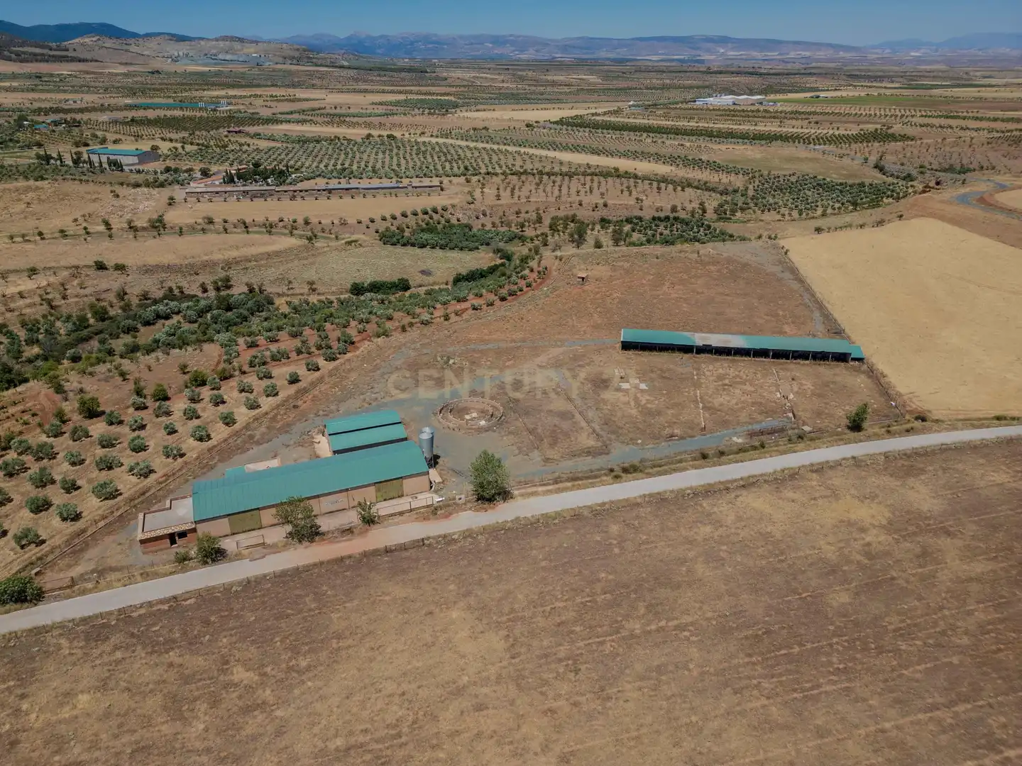 Terreno en venta en Cogollos de Guadix