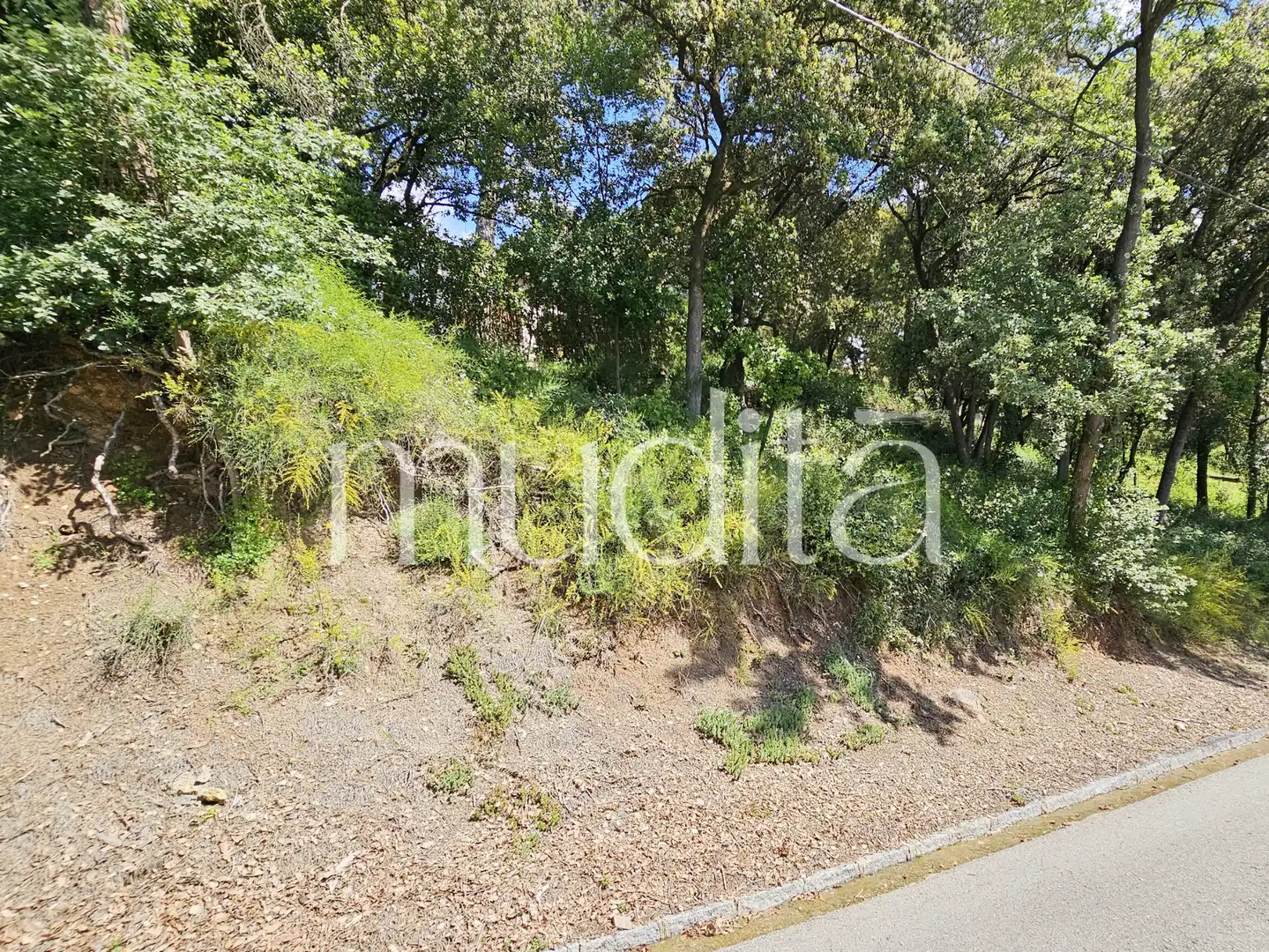Residential land for sale in Sant Pere de Vilamajor, imagen 3