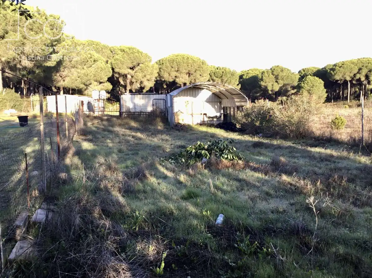 Casa rústica en venda a Almonte ciudad, imagen 17