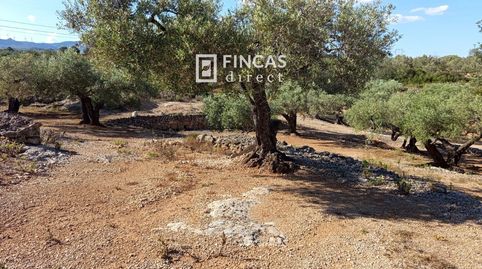 Foto 5 de Finca rústica en venda a Rm57+v3f, L'Ampolla, Tarragona