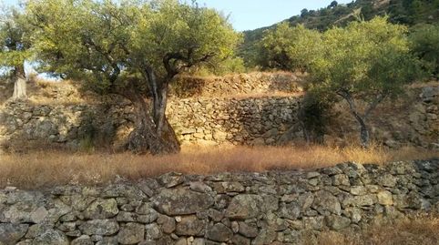 Foto 3 de Terreny en venda a Paseo Arturo Duperier, Pedro Bernardo, Ávila