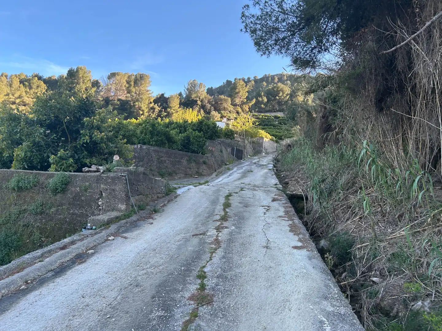 Vista exterior de Finca rústica en venda en Oliva amb Moblat
