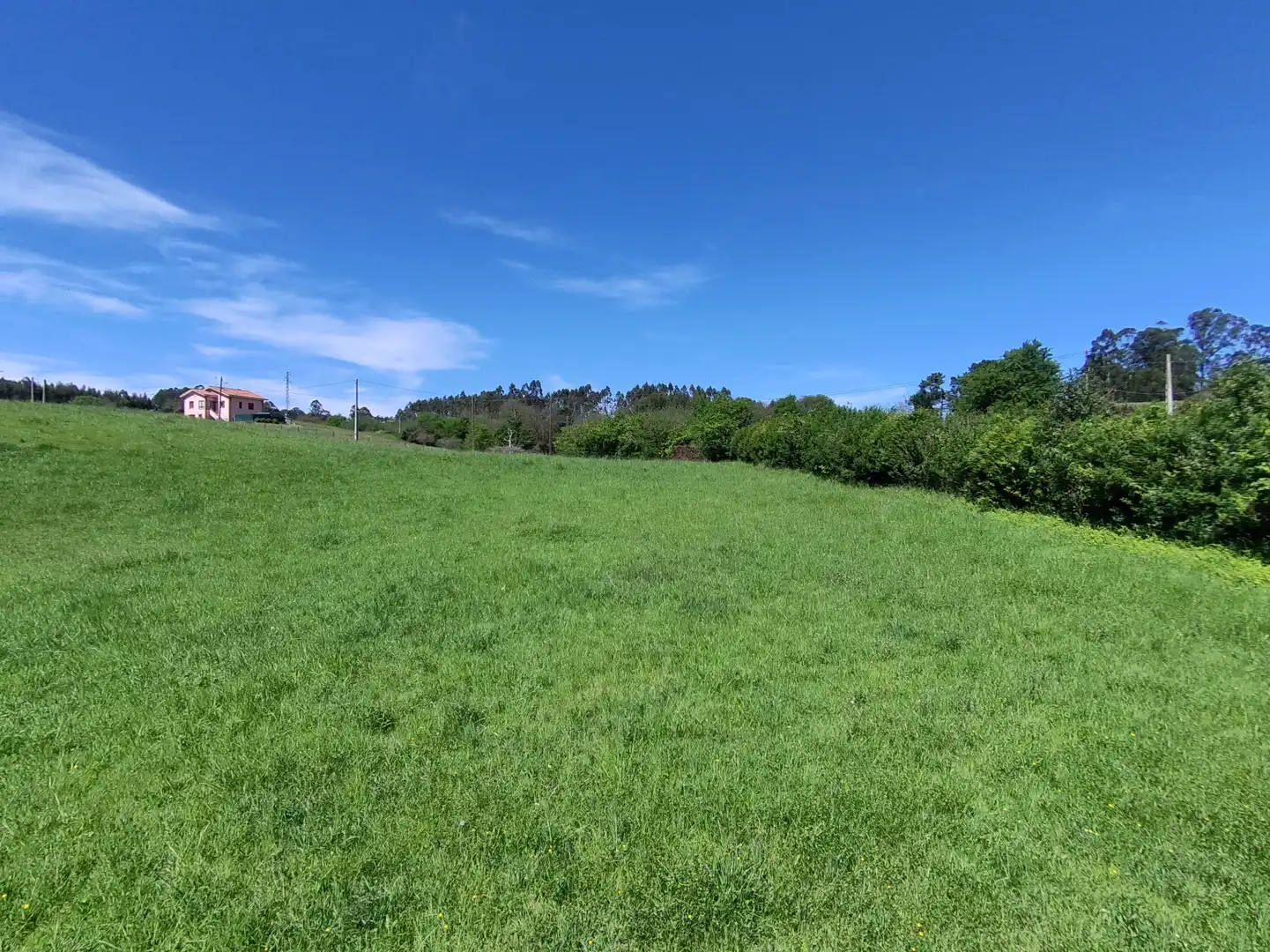 Terreny residencial en venda a Gijón - CR DE GALLINAL 203, imagen 15