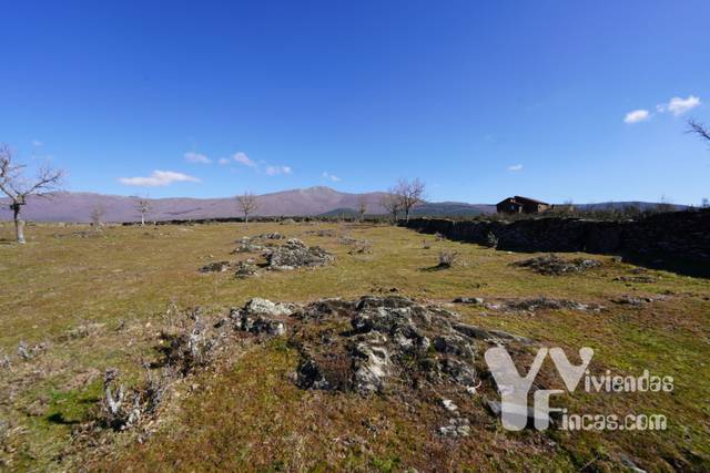 Terreno en Venta en Calle Cortes en Campillo de Ranas