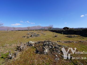 Terreno rústico en venta en Campillo de Ranas