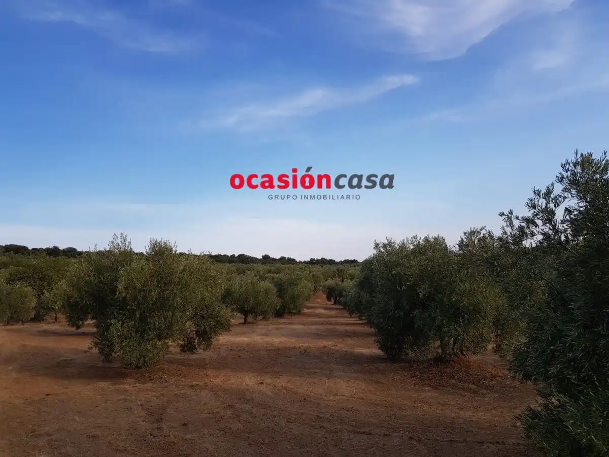 Finca rústica en venta en Espiel con Piscina y Amueblado