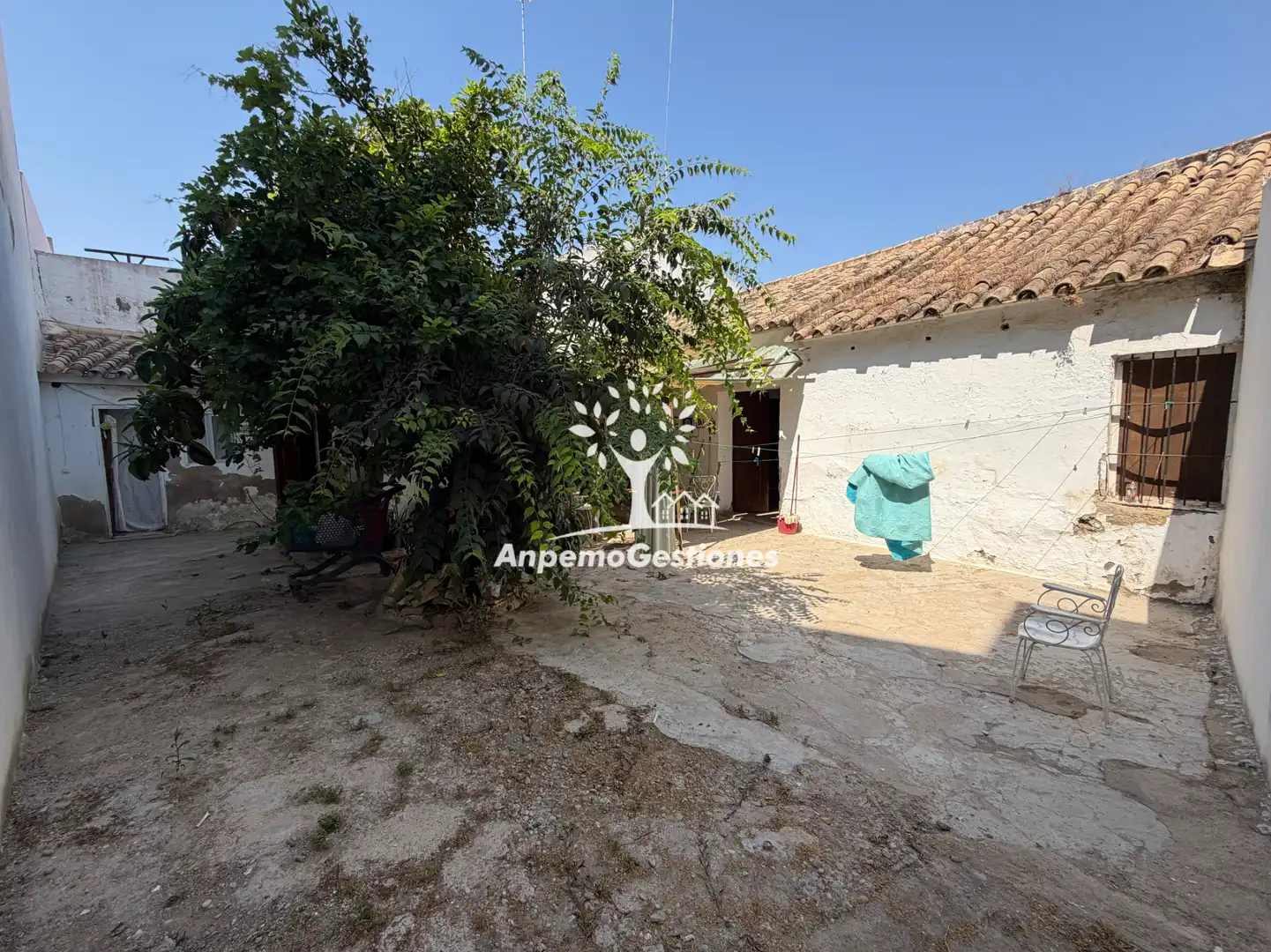 Vista exterior de Casa o chalet en venta en Palma del Río con Terraza