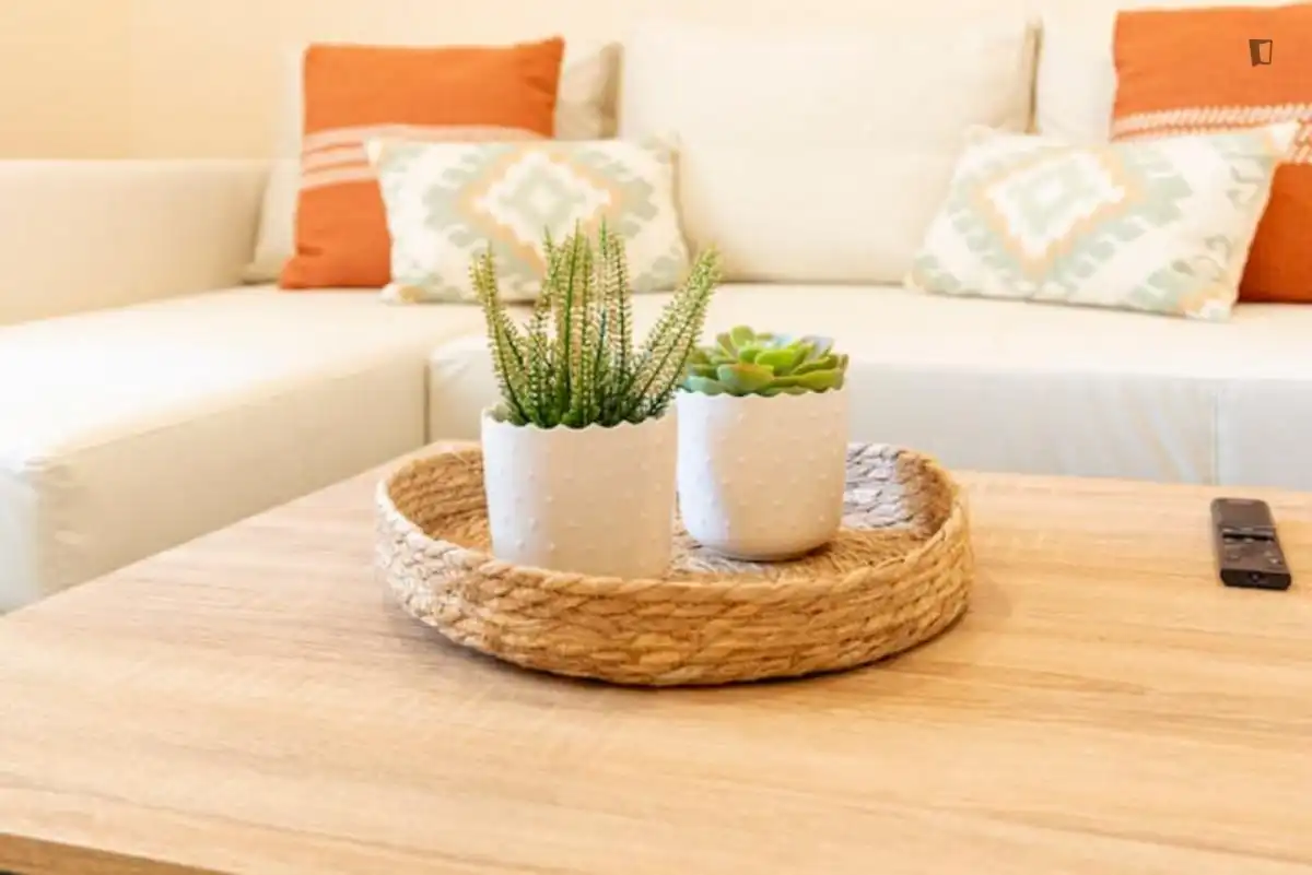 Apartments for rent in La Malagueta - Monte Sancha