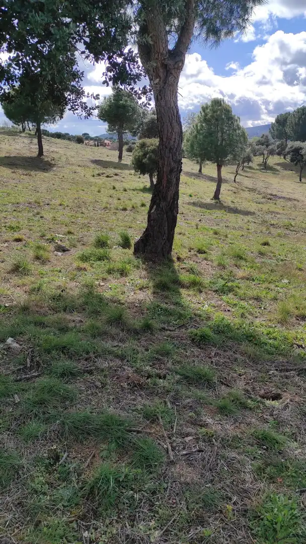 Terreno residenziale in vendita a Calle Arroyo Valdezate 217B, imagen 4