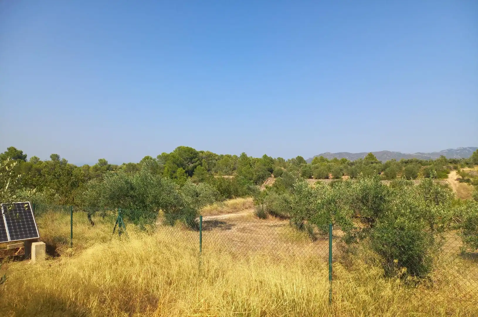 Finca rústica en venta en Rasquera