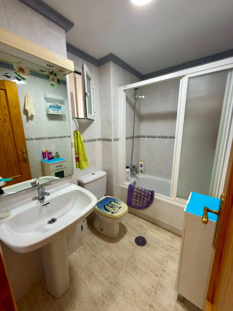 Flat with pool for sale in Calle BADIOLA "Los Olivos", imagen 11