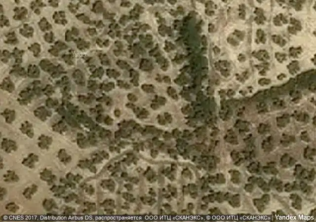 Country homes for sale in Sabiote