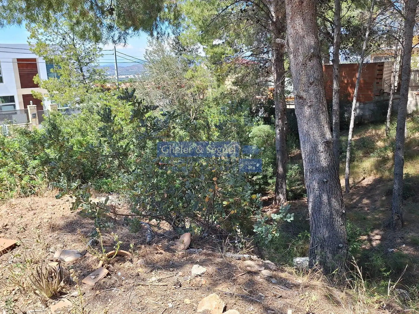 Lands and plots for sale in Gilet, imagen 9