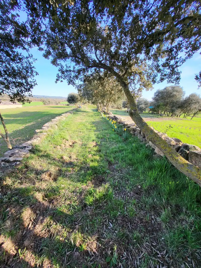 Terreno en venta en Pinell de Solsonès