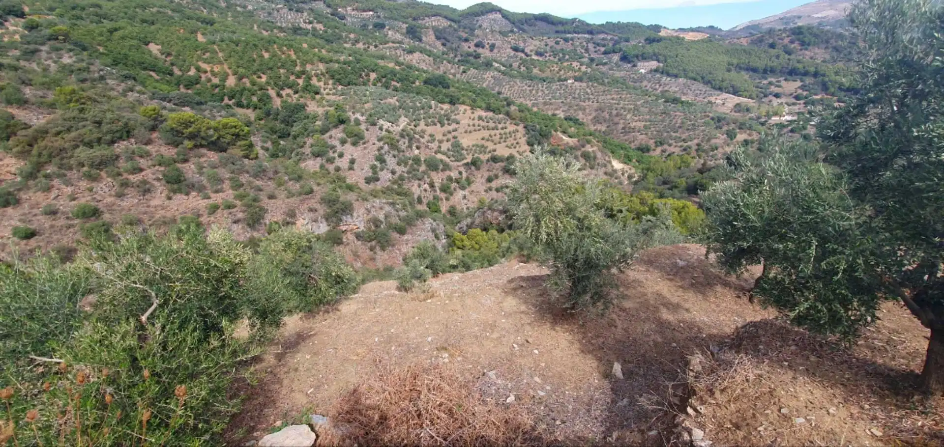 Terreni e lotti in vendita a Yunquera, imagen 13