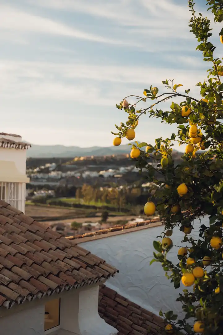 Vista exterior de Casa adosada en venda en Estepona amb Aire condicionat, Jardí privat i Terrassa