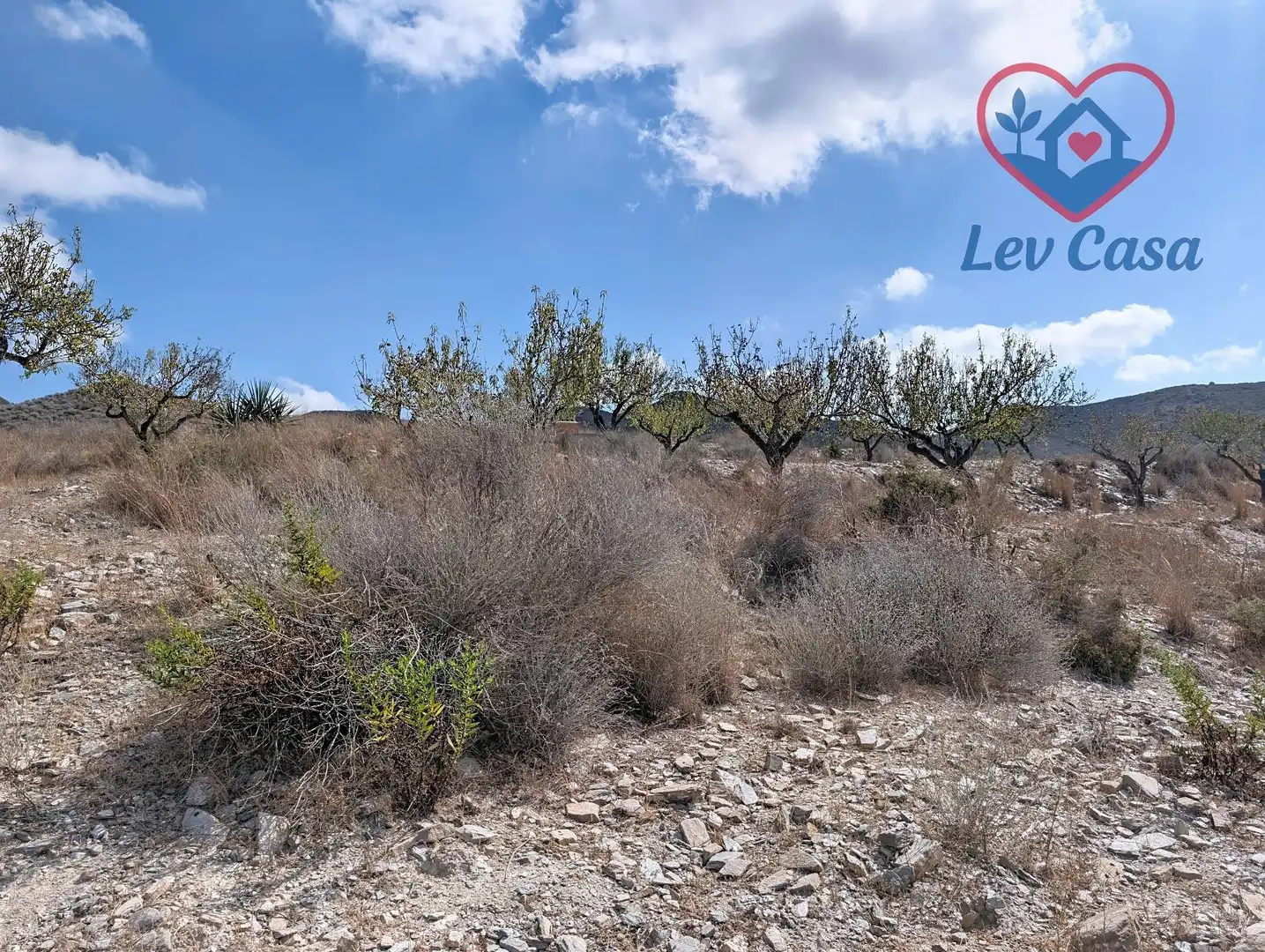 Terreno rustico in vendita a Playa del Galán, imagen 33