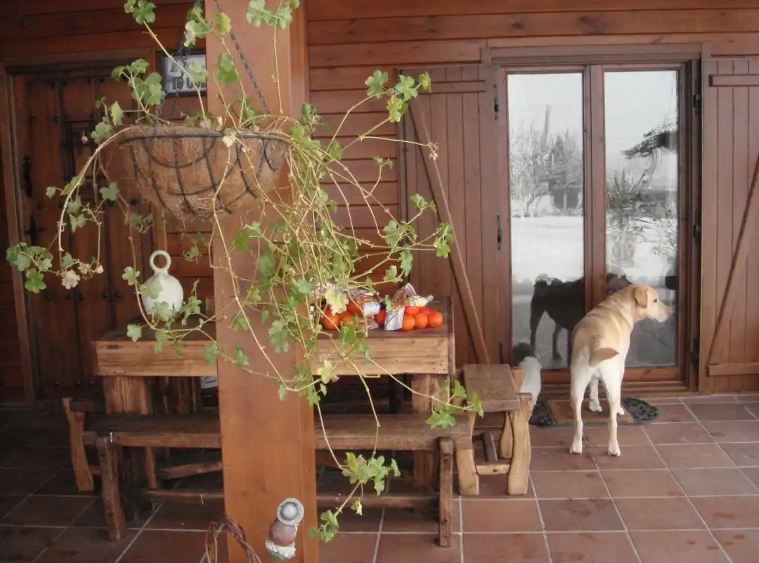 Villa con giardino in vendita a San Claudio - Trubia - Las Caldas, imagen 31