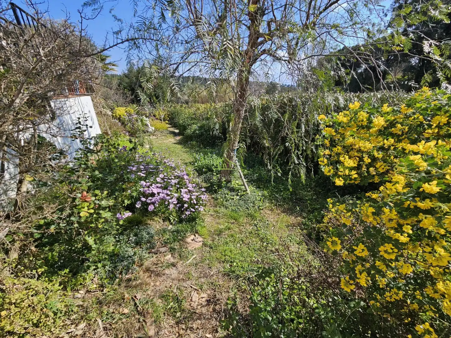 House for sale in Platja d'Aro, imagen 28